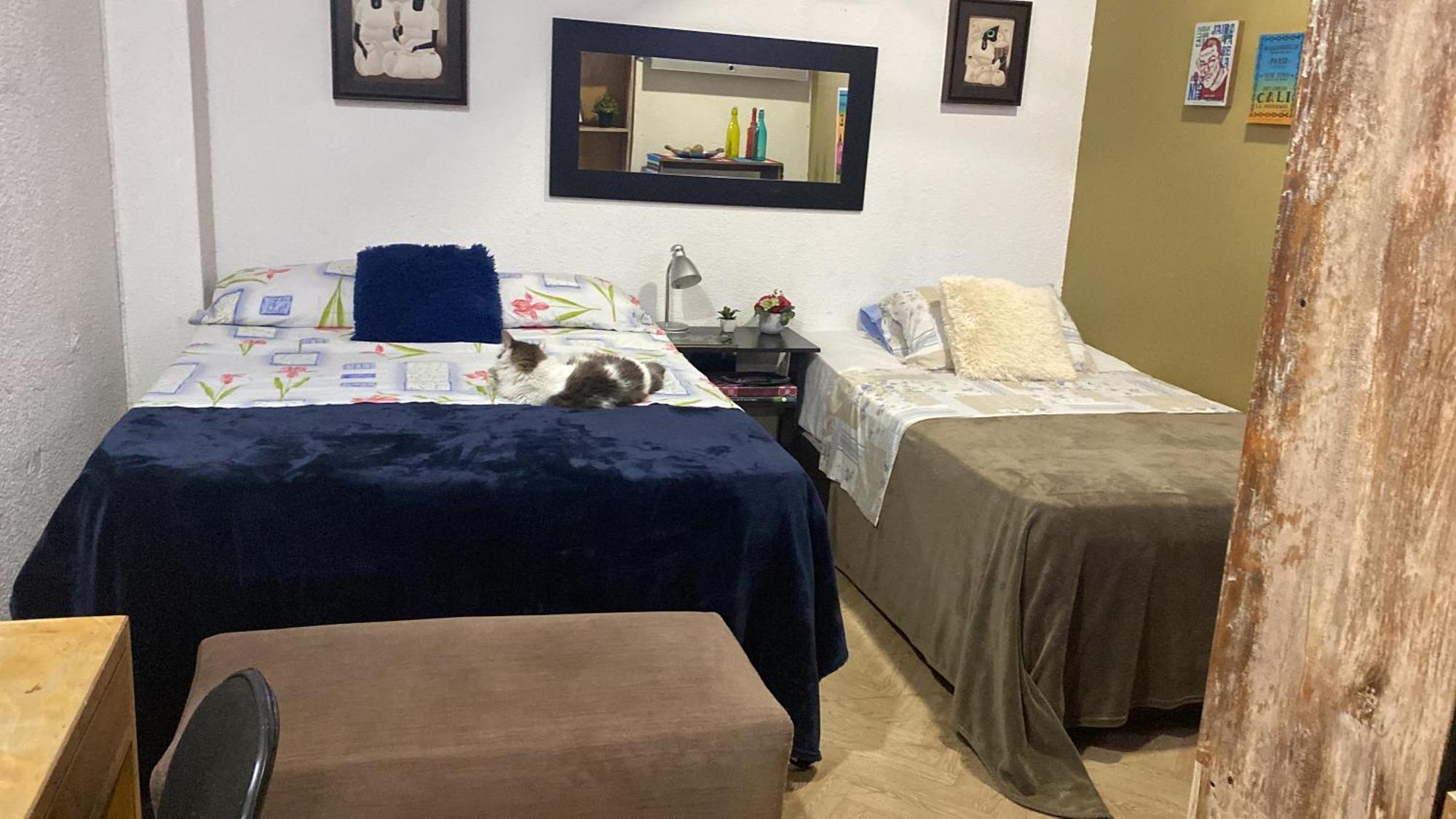 Apartarstudio Muy Bien Ubicado, Cercano A Todo!! Cali Dış mekan fotoğraf